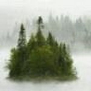 Meet your Posher, Dwayne